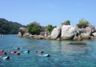 snorkelling, snorkel