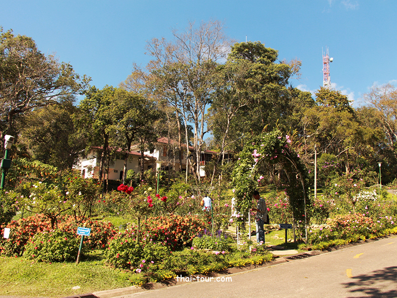 พระตำหนักภูพิงค์ราชนิเวศ