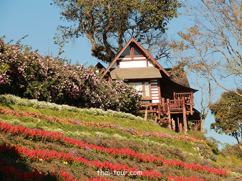 อุทยานแห่งชาติดอยสุเทพดอยปุย