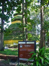 Wat Chedi Luang