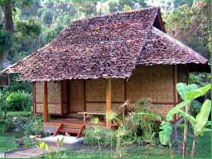 Fern Resort Mae Hong Son : Suite