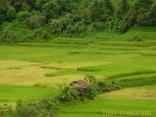 觢  (ҧҧ鹴٤ ǧ½˹ǻ 44)