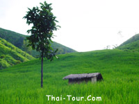 ҹ㹻˭ ҹ, ҧԹҧѺҡͧ