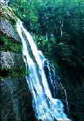 waterfall_phufa.jpg (4485 bytes)