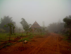 ชมหมอกฮิลล์ - เขาค้อ