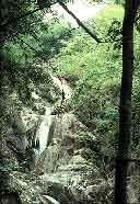 waterfall_lansang.jpg (6130 bytes)