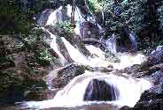 waterfall_papueng.jpg (5295 bytes)