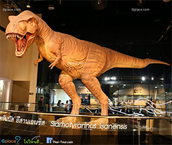 พิพิธภัณฑ์สิรินธร