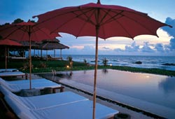 Dreaming... & relaxing....