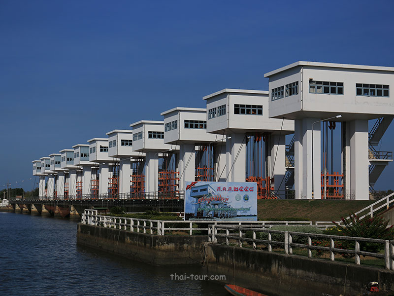พิพิธภัณฑ์เฉลิมพระเกียรติ เพื่อพัฒนาพื้นที่ลุ่มน้ำปากพนัง	