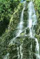 waterfall_kaonan.jpg (5318 bytes)
