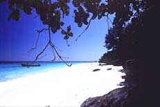 เกาะตาชัย