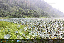 sunset_talaeban.jpg (3364 bytes)