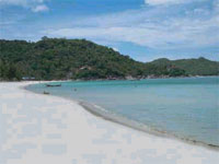 Central Cottage Resort Koh Phangan, View