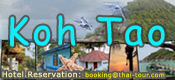 Koh Tao Travel Guide