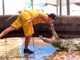 ทะเลใน ที่เกาะแม่เกาะ