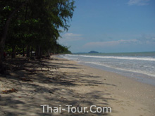 งานเทศกาลหอยตะเภา