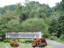 ทางเข้า ถ้ำพระยาพิชัย