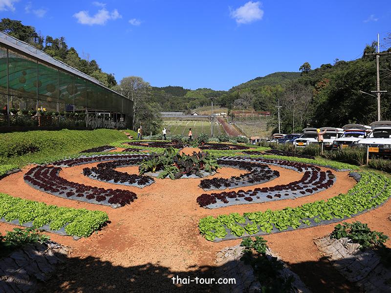 สถานีเกษตรหลวงอ่างขาง