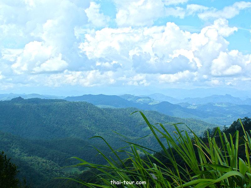 จุดชมวิวดอยกิ่วลม