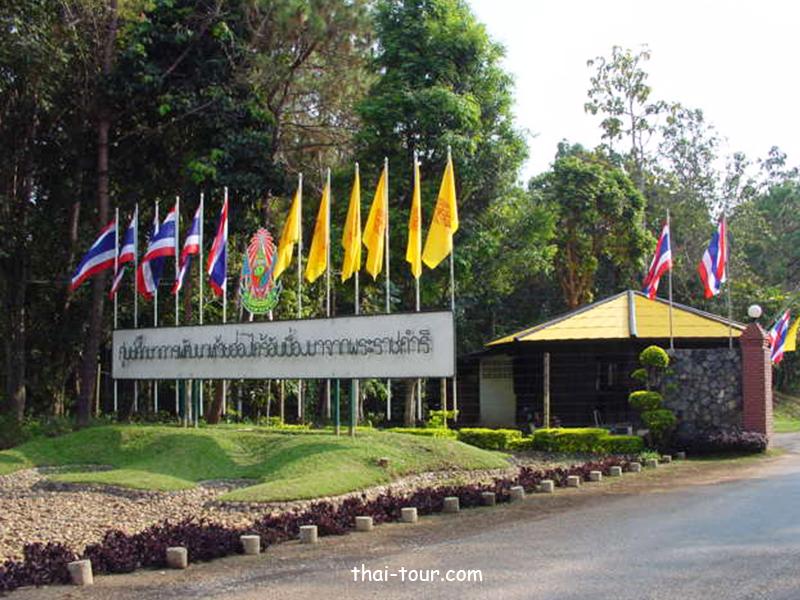 ศูนย์ศึกษาการพัฒนาห้วยฮ่องไคร้