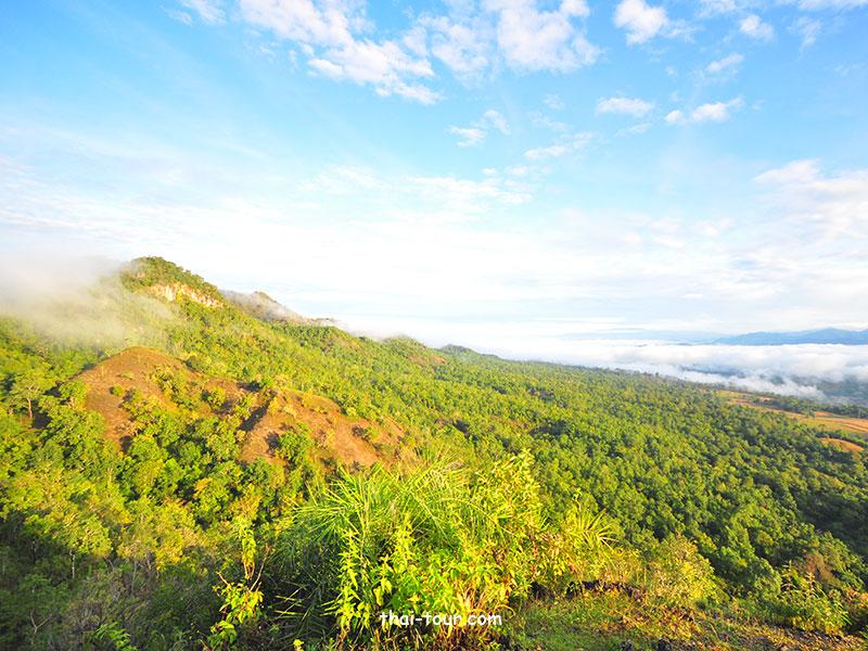 ดอยหัวมด