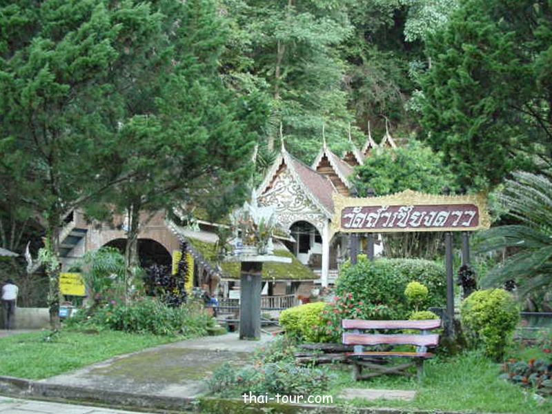 วัดถ้ำเชียงดาว