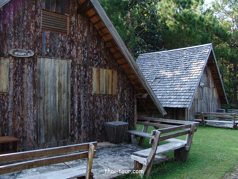 ป่าสนบ้านวัดจันทร์	