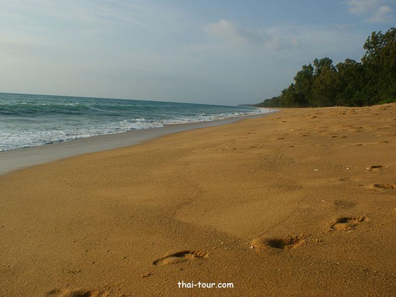 หาดไม้ขาว